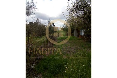 Farm i Mangualde, Viseu, Mangualde - € 150.000 | Ref: 2405 - foto 14