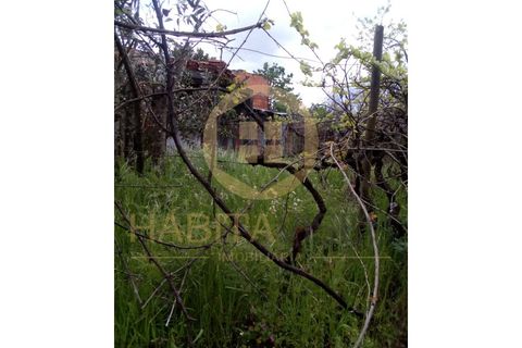 Farm i Mangualde, Viseu, Mangualde - € 150.000 | Ref: 2405 - foto 15
