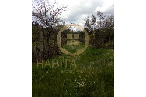 Farm i Mangualde, Viseu, Mangualde - € 150.000 | Ref: 2405 - foto 16