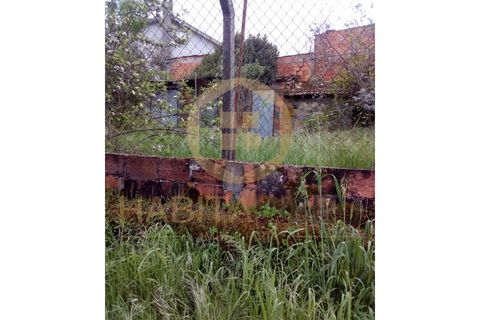 Farm i Mangualde, Viseu, Mangualde - € 150.000 | Ref: 2405 - foto 18