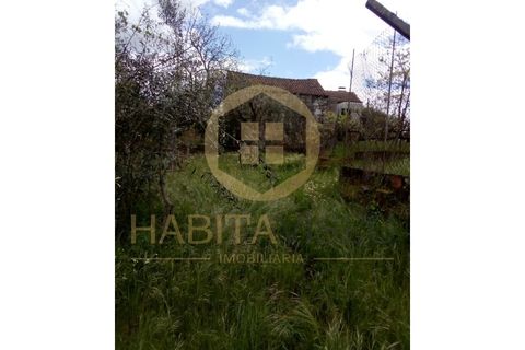 Farm i Mangualde, Viseu, Mangualde - € 150.000 | Ref: 2405 - foto 19