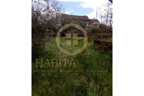 Farm i Mangualde, Viseu, Mangualde - € 150.000 | Ref: 2405 - foto 20