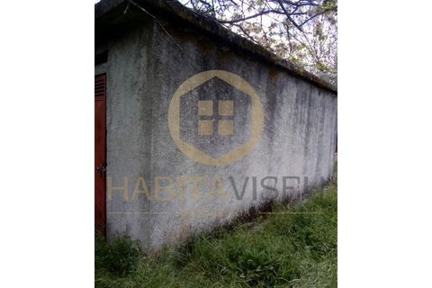 Farm i Mangualde, Viseu, Mangualde - € 150.000 | Ref: 2405 - foto 21