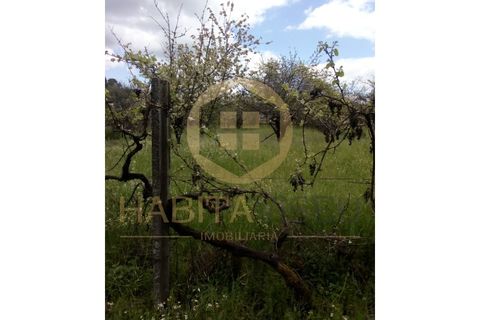 Farm i Mangualde, Viseu, Mangualde - € 150.000 | Ref: 2405 - foto 22