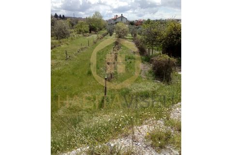 Farm i Mangualde, Viseu, Mangualde - € 150.000 | Ref: 2405 - foto 23