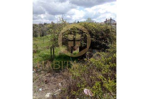 Farm i Mangualde, Viseu, Mangualde - € 150.000 | Ref: 2405 - foto 24