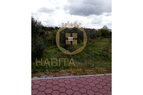 Farm i Mangualde, Viseu, Mangualde - € 150.000 | Ref: 2405 - foto 25