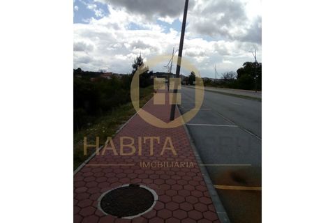 Farm i Mangualde, Viseu, Mangualde - € 150.000 | Ref: 2405 - foto 26