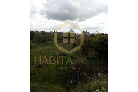 Farm i Mangualde, Viseu, Mangualde - € 150.000 | Ref: 2405 - foto 27