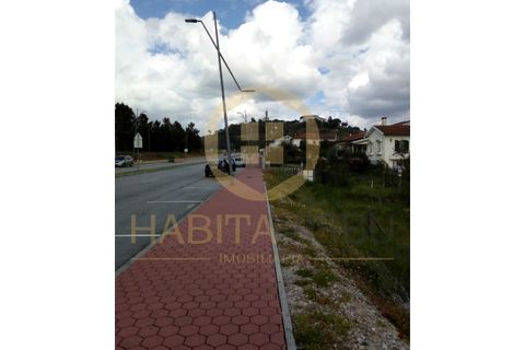 Farm i Mangualde, Viseu, Mangualde - € 150.000 | Ref: 2405 - foto 28