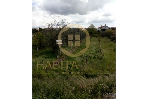 Farm i Mangualde, Viseu, Mangualde - € 150.000 | Ref: 2405 - foto 29