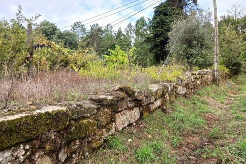 Terra a Penalva do Castelo, Viseu, Penalva do Castelo - € 80.000 | Ref: 3142 - foto 3