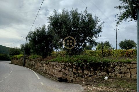 Terra a Penalva do Castelo, Viseu, Penalva do Castelo - € 80.000 | Ref: 3142 - foto 10