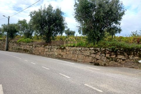 Terra a Penalva do Castelo, Viseu, Penalva do Castelo - € 80.000 | Ref: 3142 - foto 19