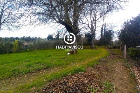 Helårsgrund i Viseu, Viseu, Viseu - € 49.500 | Ref: SÒL_2332 - foto 2
