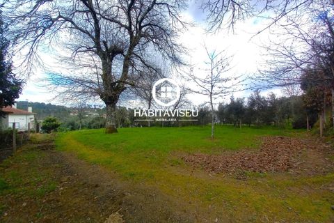 Helårsgrund i Viseu, Viseu, Viseu - € 49.500 | Ref: SÒL_2332 - foto 4