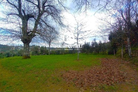 Helårsgrund i Viseu, Viseu, Viseu - € 49.500 | Ref: SÒL_2332 - foto 5