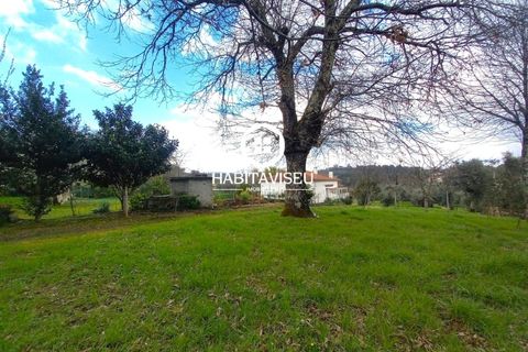 Helårsgrund i Viseu, Viseu, Viseu - € 49.500 | Ref: SÒL_2332 - foto 6