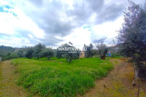 Helårsgrund i Viseu, Viseu, Viseu - € 49.500 | Ref: SÒL_2332 - foto 10
