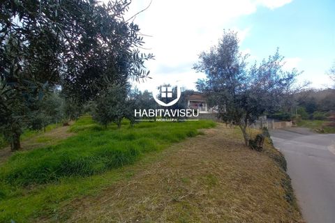 Helårsgrund i Viseu, Viseu, Viseu - € 49.500 | Ref: SÒL_2332 - foto 15