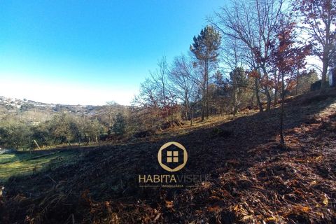Helårsgrund i Viseu, Viseu, Viseu - € 98.500 | Ref: SÒL_2329 - foto 7