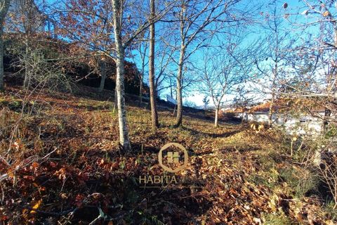 Helårsgrund i Viseu, Viseu, Viseu - € 98.500 | Ref: SÒL_2329 - foto 9
