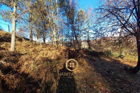 Helårsgrund i Viseu, Viseu, Viseu - € 98.500 | Ref: SÒL_2329 - foto 11