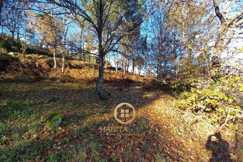 Helårsgrund i Viseu, Viseu, Viseu - € 98.500 | Ref: SÒL_2329 - foto 12
