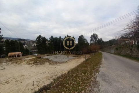 Terra a Castro Daire, Viseu, Castro Daire - € 57.000 | Ref: 3064 - foto 6