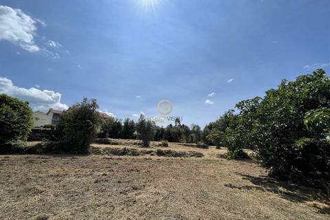 Helårsgrund i Viseu, Viseu, Viseu - € 58.000 | Ref: 3319 - foto 1