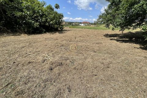 Helårsgrund i Viseu, Viseu, Viseu - € 58.000 | Ref: 3319 - foto 9