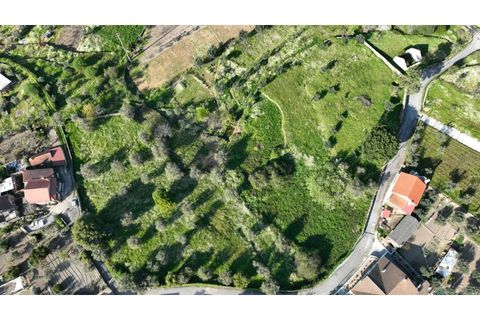 Helårsgrund i Viseu, Viseu, Viseu - € 58.000 | Ref: 3319 - foto 16