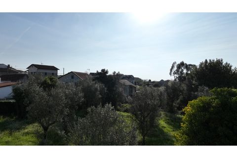 Helårsgrund i Viseu, Viseu, Viseu - € 58.000 | Ref: 3319 - foto 17