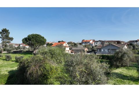 Helårsgrund i Viseu, Viseu, Viseu - € 58.000 | Ref: 3319 - foto 19