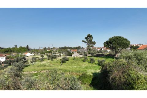 Helårsgrund i Viseu, Viseu, Viseu - € 58.000 | Ref: 3319 - foto 20
