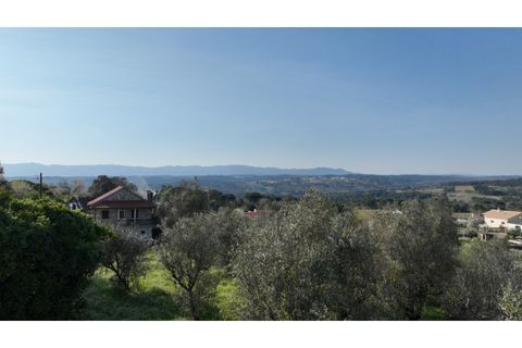 Helårsgrund i Viseu, Viseu, Viseu - € 58.000 | Ref: 3319 - foto 22