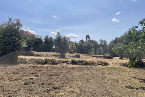 Helårsgrund i Viseu, Viseu, Viseu - € 58.000 | Ref: SÒL_2319 - foto 7