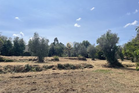Helårsgrund i Viseu, Viseu, Viseu - € 58.000 | Ref: SÒL_2319 - foto 8
