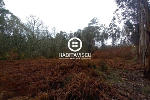 Terra a Satao, Viseu, Satao - € 47.500 | Ref: 3213 - foto 4