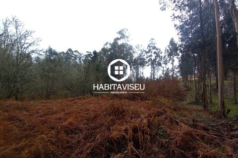Terra a Satao, Viseu, Satao - € 47.500 | Ref: 3213 - foto 7