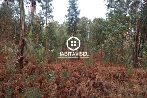 Terra a Satao, Viseu, Satao - € 47.500 | Ref: 3213 - foto 9