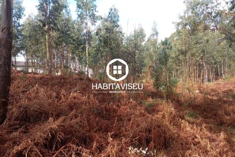 Terra a Satao, Viseu, Satao - € 47.500 | Ref: 3213 - foto 11
