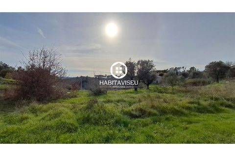 Terra a Fragosela, Viseu, Fragosela - € 115.000 | Ref: SÒL_2315 - foto 4