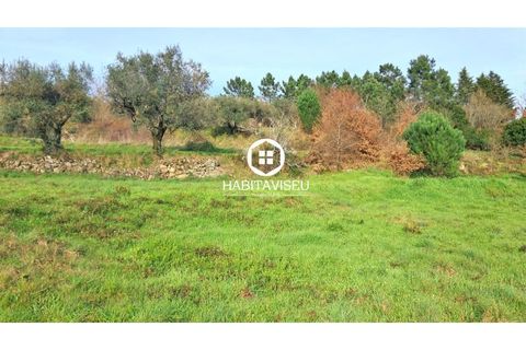 Terra a Fragosela, Viseu, Fragosela - € 115.000 | Ref: SÒL_2315 - foto 5