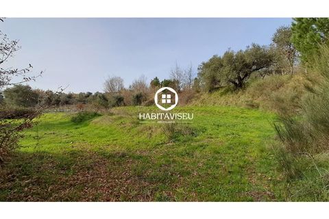 Terra a Fragosela, Viseu, Fragosela - € 115.000 | Ref: SÒL_2315 - foto 6