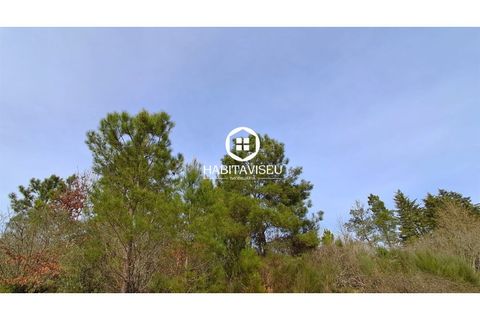 Terra a Fragosela, Viseu, Fragosela - € 115.000 | Ref: SÒL_2315 - foto 13