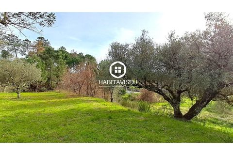 Terra a Fragosela, Viseu, Fragosela - € 115.000 | Ref: SÒL_2315 - foto 21
