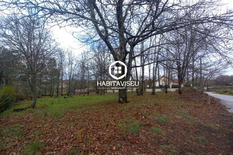 Terra a Satao, Viseu, Satao - € 40.000 | Ref: SÒL_2313 - foto 2