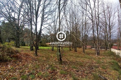 Terra a Satao, Viseu, Satao - € 40.000 | Ref: SÒL_2313 - foto 4
