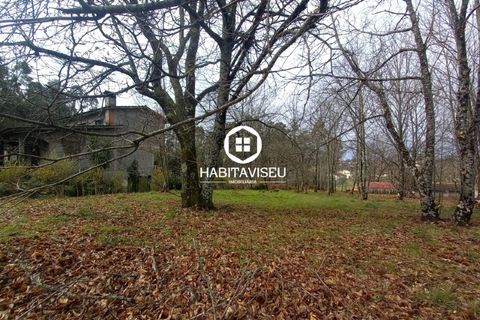 Terra a Satao, Viseu, Satao - € 40.000 | Ref: SÒL_2313 - foto 5